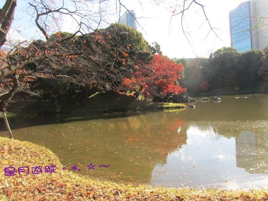 A小石川後楽園 (11)
