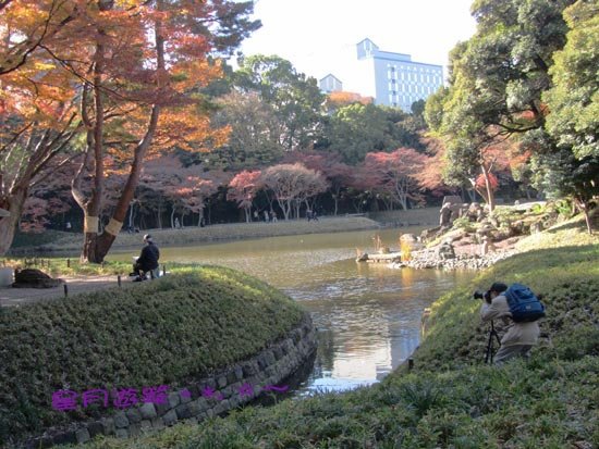 A小石川後楽園 (7)