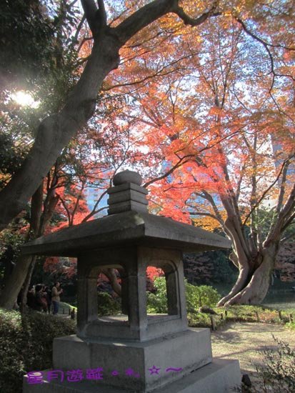 A小石川後楽園 (5)