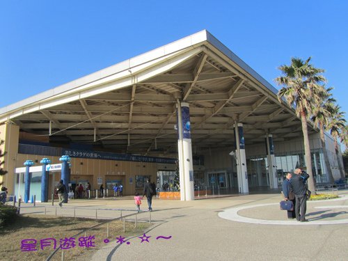 a2江之島水族館(17)