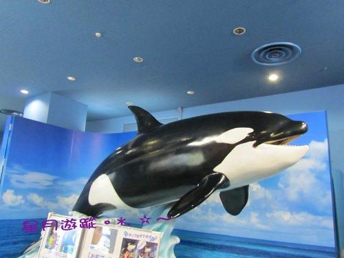 c1名古屋港水族館 (11)