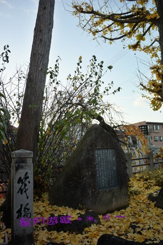 a1高山 (3)