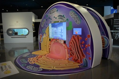 c名古屋市科学館   (11)