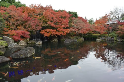 想···好古園姫路市