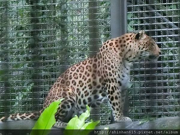 動物園穿搭_170301_0007.jpg
