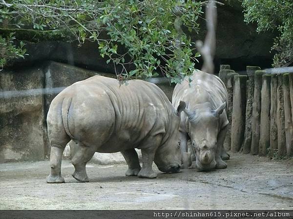 動物園穿搭_170301_0018.jpg