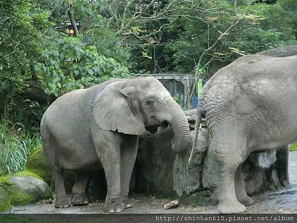 動物園穿搭_170301_0017.jpg