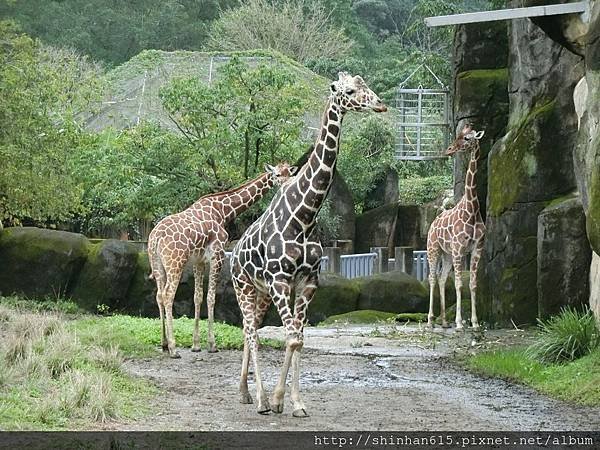 動物園穿搭_170301_0016.jpg