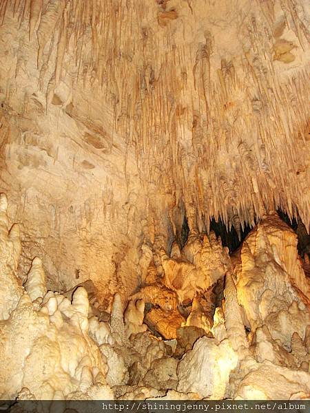 Ruakuri Cave