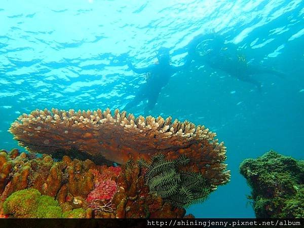 TW＊墾丁浮潛推薦。萬里桐‧水到魚行浮潛館