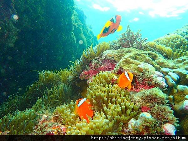 TW＊墾丁浮潛推薦。萬里桐‧水到魚行浮潛館