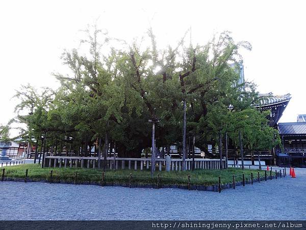 JP＊2017日本京都自由行。西本願寺-世界文化遺產、東本願