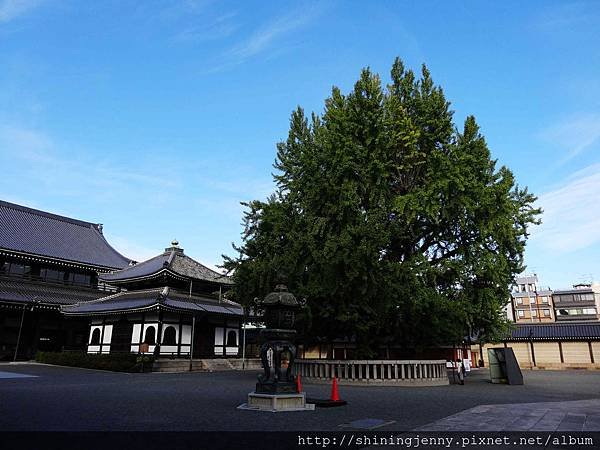 JP＊2017日本京都自由行。西本願寺-世界文化遺產、東本願