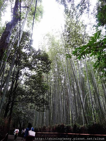 JP＊2017日本京都自由行。嵐山-下篇。嵐山大街美食[HA