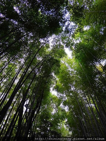 JP＊2017日本京都自由行。嵐山-下篇。嵐山大街美食[HA