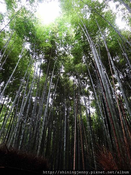JP＊2017日本京都自由行。嵐山-下篇。嵐山大街美食[HA
