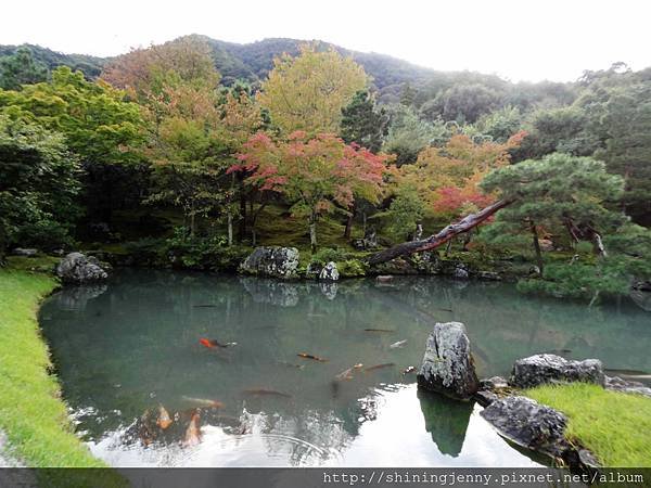 JP＊2017日本京都自由行。嵐山-下篇。嵐山大街美食[HA