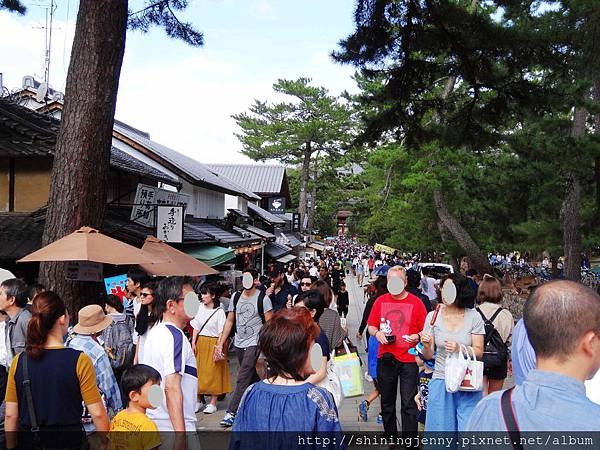 JP * 2017日本京都奈良自由行。奈良-鹿群‧東大寺‧二