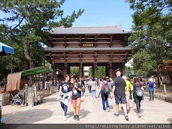 JP * 2017日本京都奈良自由行。奈良-鹿群‧東大寺‧二
