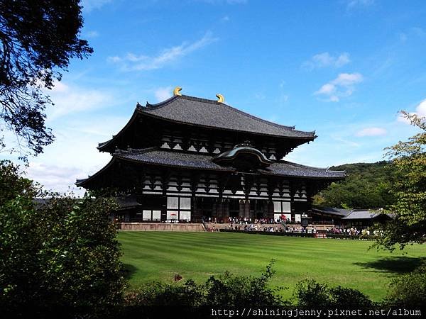JP * 2017日本京都奈良自由行。奈良-鹿群‧東大寺‧二