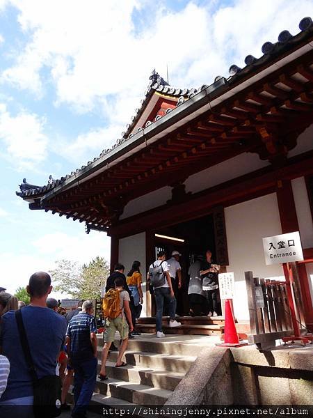 JP * 2017日本京都奈良自由行。奈良-鹿群‧東大寺‧二