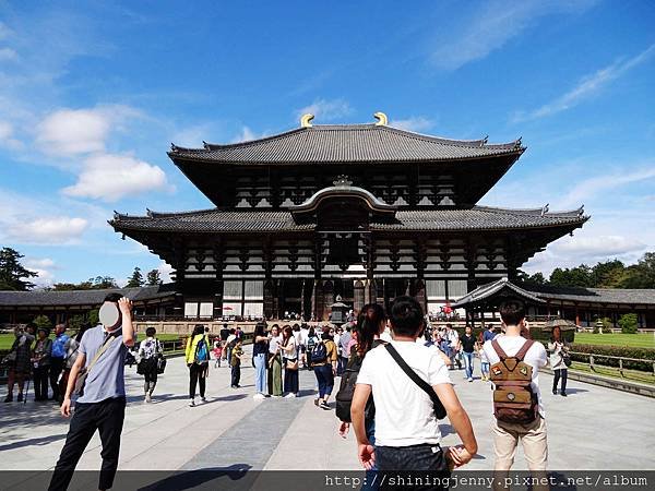 JP * 2017日本京都奈良自由行。奈良-鹿群‧東大寺‧二
