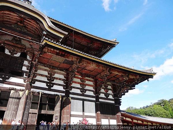 JP * 2017日本京都奈良自由行。奈良-鹿群‧東大寺‧二