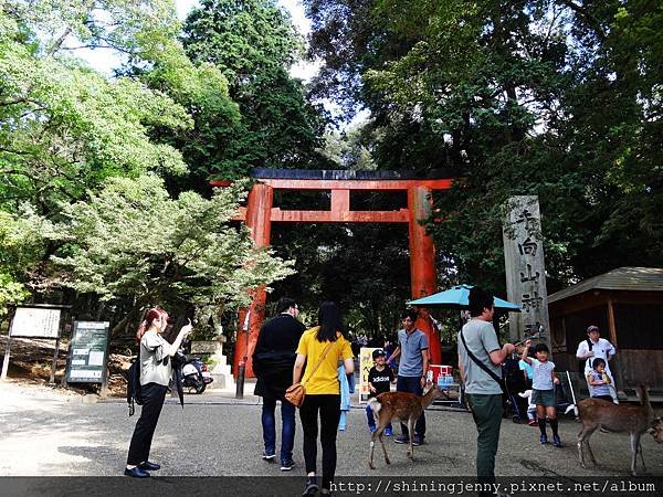 JP * 2017日本京都奈良自由行。奈良-鹿群‧東大寺‧二