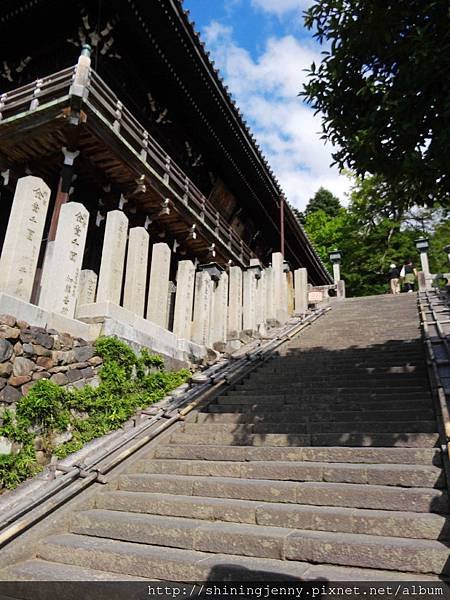 JP * 2017日本京都奈良自由行。奈良-鹿群‧東大寺‧二