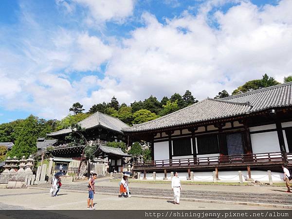 JP * 2017日本京都奈良自由行。奈良-鹿群‧東大寺‧二