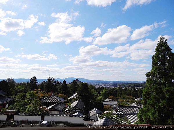 JP * 2017日本京都奈良自由行。奈良-鹿群‧東大寺‧二