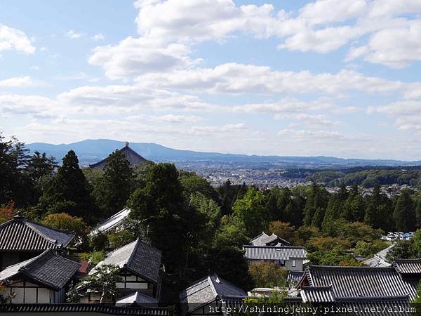 JP * 2017日本京都奈良自由行。奈良-鹿群‧東大寺‧二