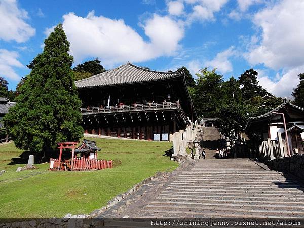 JP * 2017日本京都奈良自由行。奈良-鹿群‧東大寺‧二