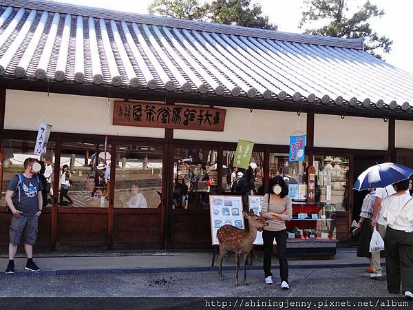 JP * 2017日本京都奈良自由行。奈良-鹿群‧東大寺‧二
