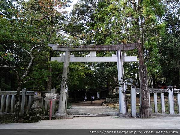 JP * 2017日本京都奈良自由行。奈良-鹿群‧東大寺‧二