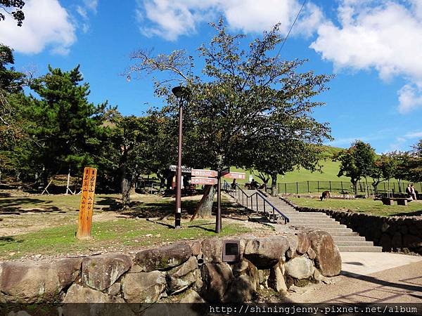 JP * 2017日本京都奈良自由行。奈良-鹿群‧東大寺‧二
