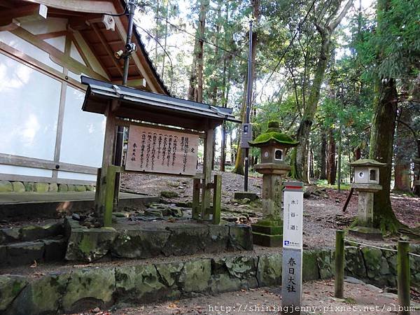 JP * 2017日本京都奈良自由行。奈良-鹿群‧東大寺‧二