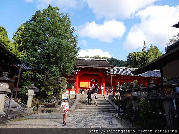 JP * 2017日本京都奈良自由行。奈良-鹿群‧東大寺‧二