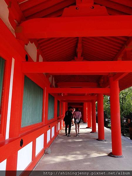 JP * 2017日本京都奈良自由行。奈良-鹿群‧東大寺‧二