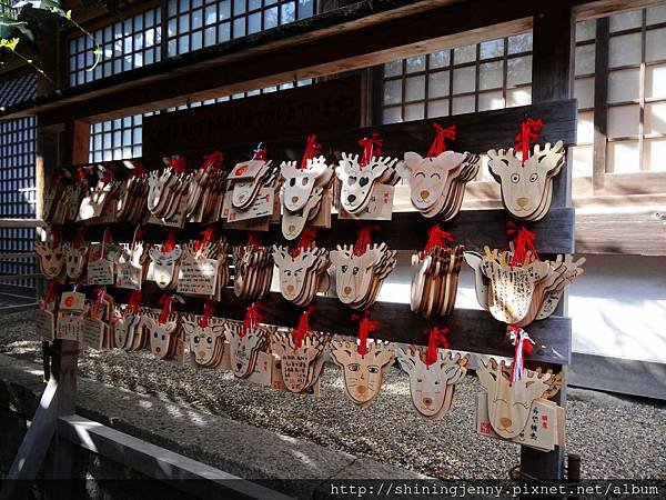 JP * 2017日本京都奈良自由行。奈良-鹿群‧東大寺‧二