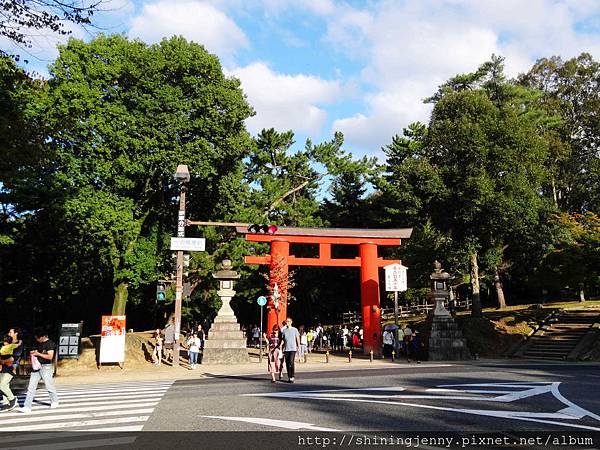 JP * 2017日本京都奈良自由行。奈良-鹿群‧東大寺‧二