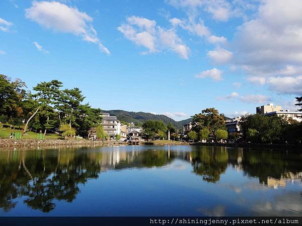 JP * 2017日本京都奈良自由行。奈良-鹿群‧東大寺‧二