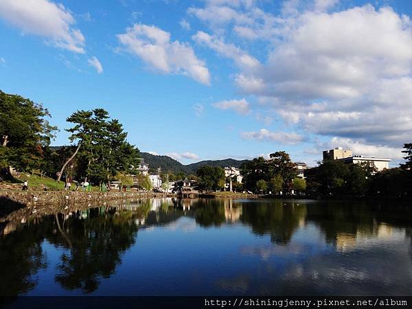JP * 2017日本京都奈良自由行。奈良-鹿群‧東大寺‧二