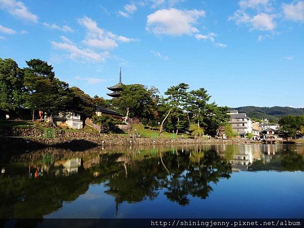 JP * 2017日本京都奈良自由行。奈良-鹿群‧東大寺‧二