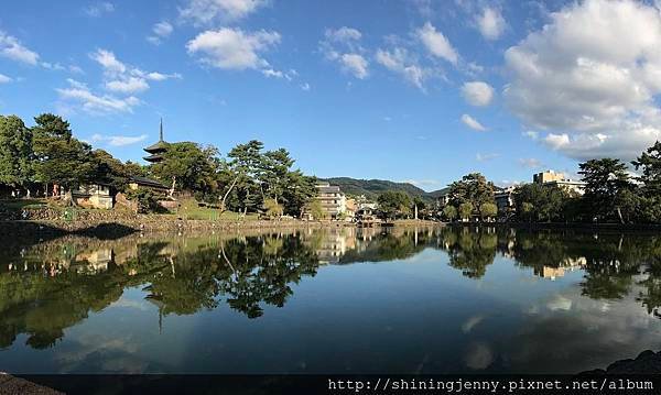 JP * 2017日本京都奈良自由行。奈良-鹿群‧東大寺‧二