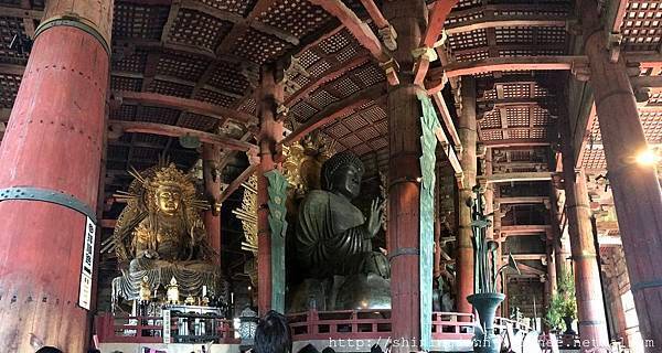 JP * 2017日本京都奈良自由行。奈良-鹿群‧東大寺‧二