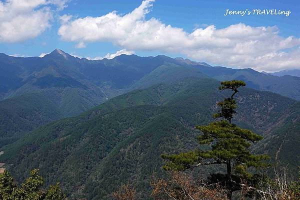 TW＊2019武陵櫻花季。福壽山農場千櫻園【雄獅旅行社參團心