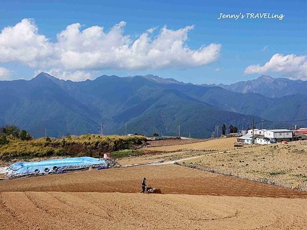 TW＊2019武陵櫻花季。福壽山農場千櫻園【雄獅旅行社參團心