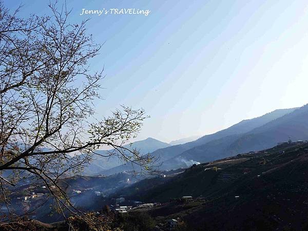 TW＊2019武陵櫻花季。梨山賓館住宿【雄獅旅行社參團心得】