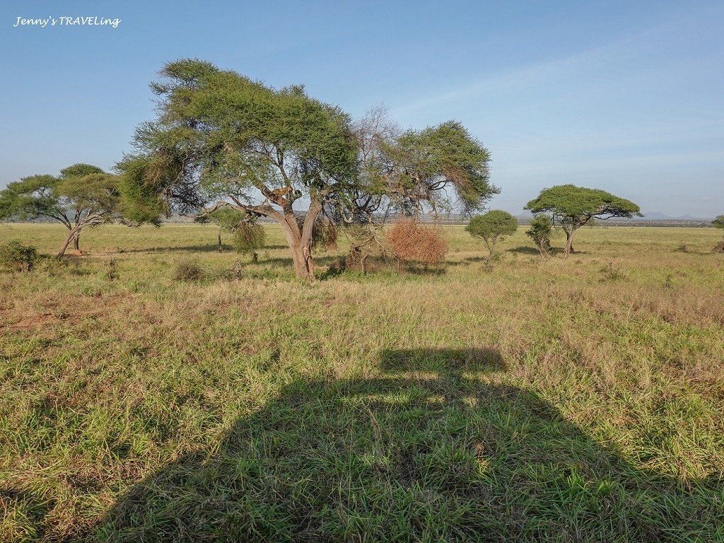 Africa＊坦尚尼亞獵遊 當地旅行社推薦 Safari I